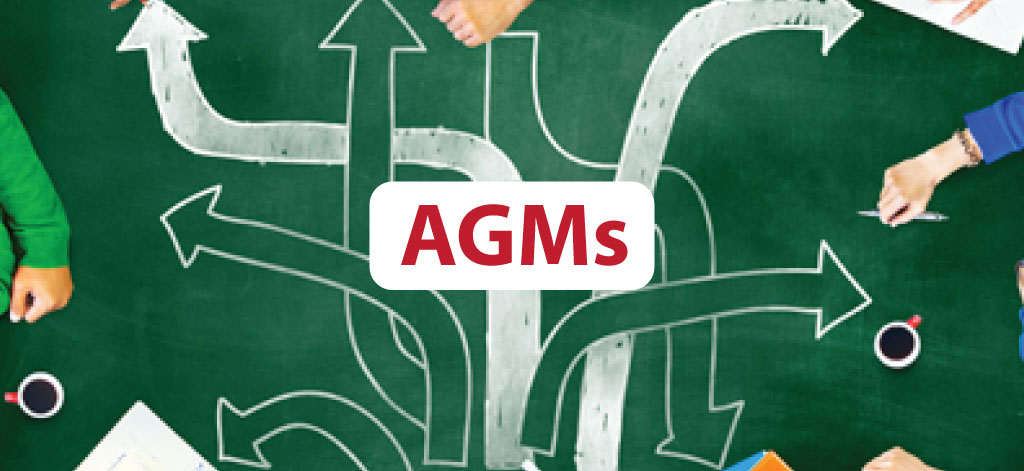 Virtual Annual General Meetings (AGMs): The New Normal